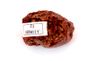 Chondrite L4-6 NWA869, 81g