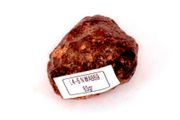 Chondrite L4-6 NWA869, 83g