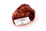 Chondrite L4-6 NWA869, 83g