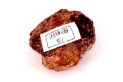 Chondrite L4-6 NWA869, 86g