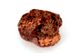 Chondrite L4-6 NWA869, 86g Chondrite L4-6 NWA869, 86g