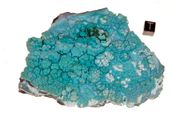 chrysocolla  01a