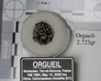 CI1 Orgueil from $17.00 up CI1 Orgueil from $17.00 up