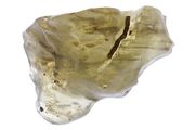 Cosmic glass 18.2gram  31a