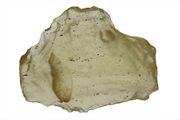  SOLD-Verkauft- Cosmic 9.0gram 10b