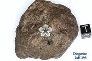 Diogenite - deep crustal material of large asteroid