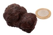 Egyptian Concretion, 98gr /some call this Z-stone