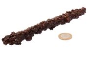 Egyptian Limonite  (some call it Z-stone) 135mm