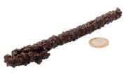 Egyptian Limonite (some call it Z-stone) 183mm