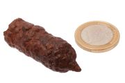 Egyptian Limonite Concretion