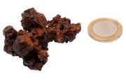 Egyptian Limonite Concretion