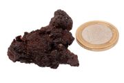 Egyptian Limonite Concretion
