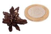 Egyptian Limonite Concretion