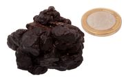 Egyptian Limonite Concretion