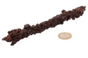 Egyptian Limonite  (some call it Z-stone)