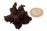 Egyptian Limonite  (some call it Z-stone)