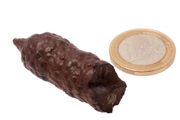 Egyptian Limonite Concretion