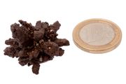 Egyptian Limonite Concretion