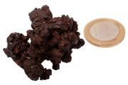 Egyptian Limonite Concretion