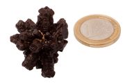 $0LD! Egyptian Limonite Concretion