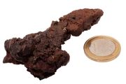 Egyptian Limonite Concretion