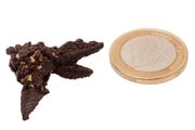 Egyptian Limonite Concretion