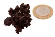<B>SOLD!</B>  Egyptian Limonite Concretion