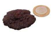 Egyptian Limonite Concretion