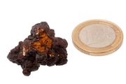 Egyptian Limonite Concretion