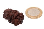 Egyptian Limonite Concretion