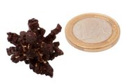 Egyptian Limonite Concretion
