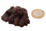Egyptian Limonite Concretion