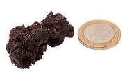 Egyptian Limonite Concretion