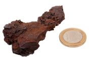 Egyptian Limonite Concretion