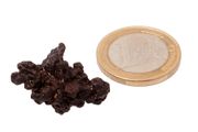 Egyptian Limonite Concretion