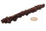 Egyptian Limonite  (some call it Z-stone) 135mm