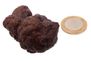 Egyptian Limonite Concretion - some call this Z-stone 98gr