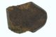fine asteroidic meteorite