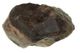 fine asteroidic meteorite