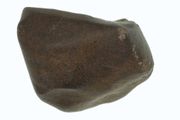 fine asteroidic meteorite