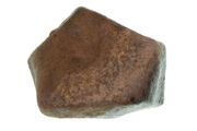 fine asteroidic meteorite