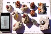 fine Garnet lot of 11pcs.