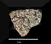 Fresh-fall, Kunya-Urgench H5 chondrite, 1998 in Turkmenistan fragment  