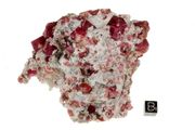 garnet raspberry 01b