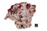 garnet raspberry 01b garnet raspberry 01b
