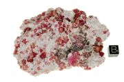 garnet raspberry 04b