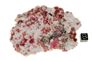 garnet raspberry 04b garnet raspberry 04b