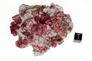 garnet raspberry 05a garnet raspberry 05a