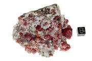 garnet raspberry 05b