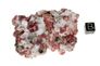 garnet raspberry 06b garnet raspberry 06b